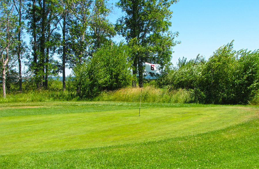 Hole 4 raised green at Nahma Golf Club.