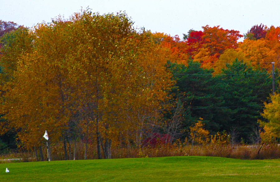 Hole 9 closing hole at Nahma Golf Club, autumn colors framing the green.